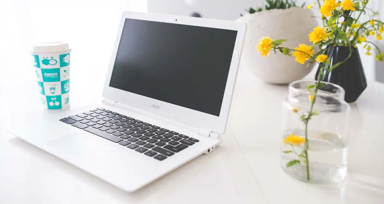 Ремонт ноутбуков Acer в Домодедово